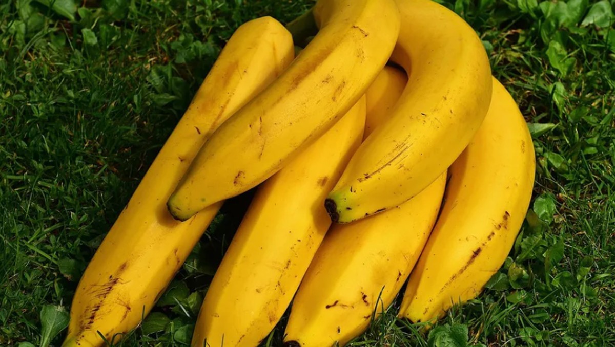 Plátano: ¿Cuál es la verdadera forma de pelarlo? | Archivo
