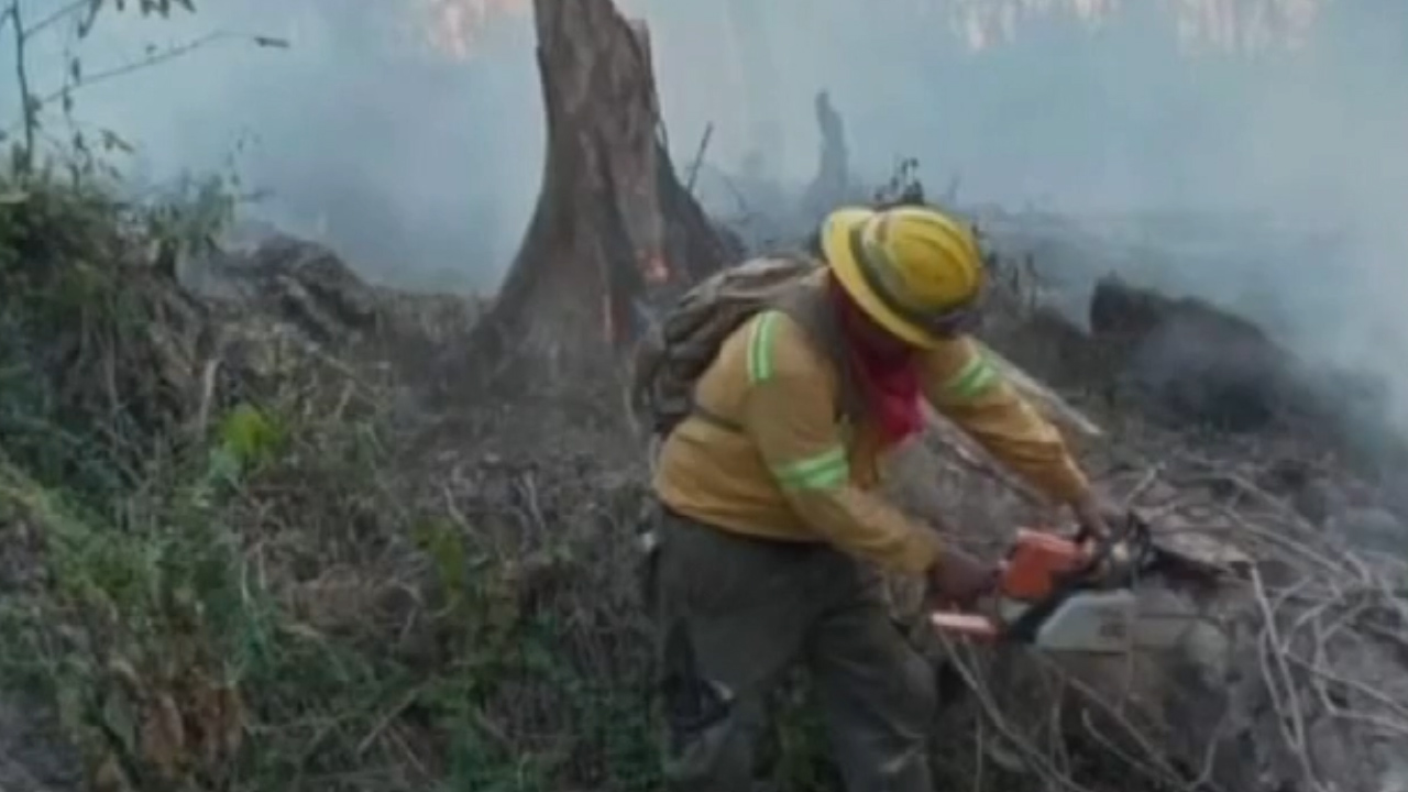En Veracruz, logran liquidar incendio forestal del Valle de Uxpanapa