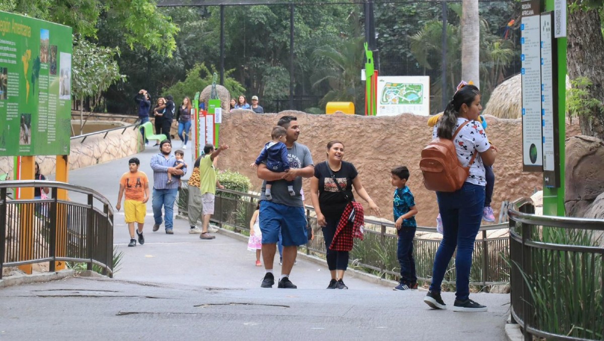 Comisión de Parques y Biodiversidad de Tamaulipas. (Cortesía)