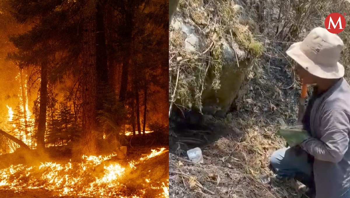 Realizan ceremonia náhuatl en Sierra Negra de Puebla | Apolonia Amayo/ Especial