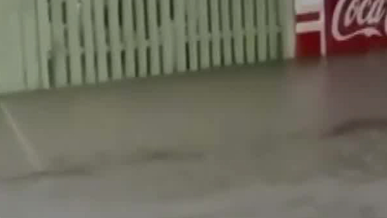 COEPROC reanuda las actividades de limpieza tras las intensas lluvias en Chetumal, QR