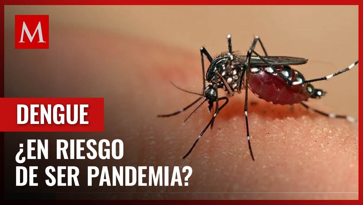 El dengue invadiría estos lugares de México, según una proyección de investigadores