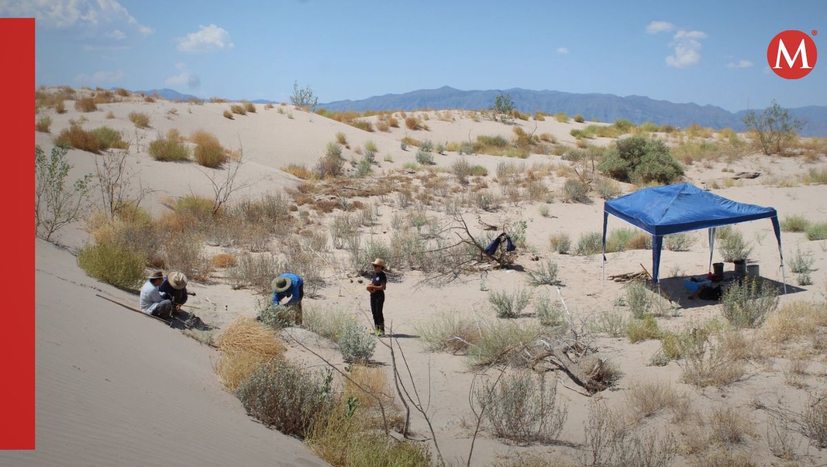 Hallazgo en las Dunas de Bilbao en Viesca, Coahuila. | Especial