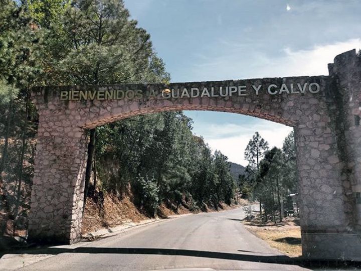 Personal de servicios periciales determinó que la causa de muerte había sido por causas naturales. | Especial