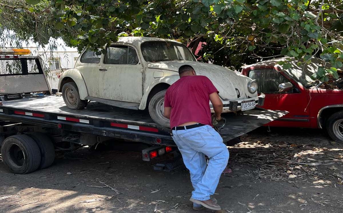 Además se clausuraron dos establecimientos. l Especial