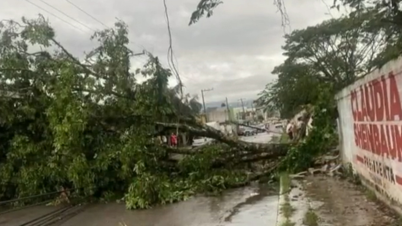 Lluvias torrenciales causan afectaciones en Veracruz; desalojan a 60 personas