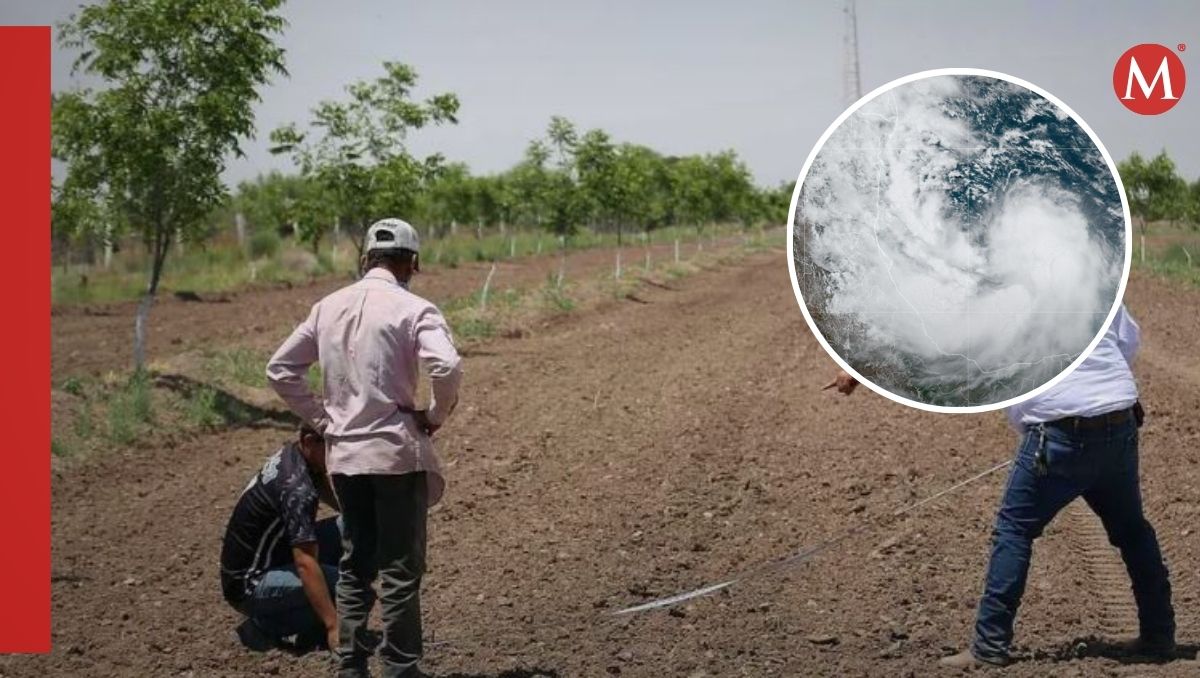 Agricultores de La Laguna de Durango. | Rolando Riestra