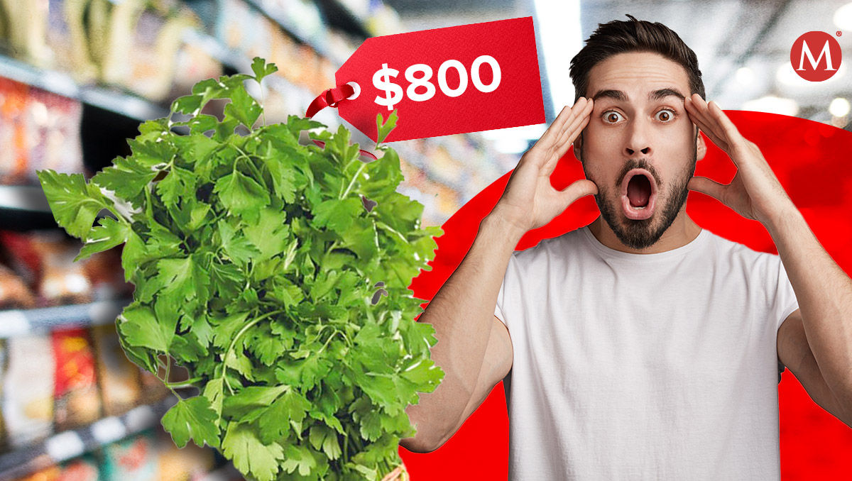 Cilantro incrementó tres veces su valor | Especial