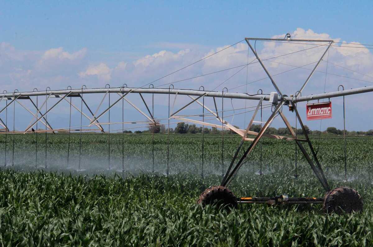 Del volumen que es  destinado a  los ciclos de riego en la Laguna, solamente  el 40 por ciento se aprovecha en la agricultura .| Manuel Guadarrama