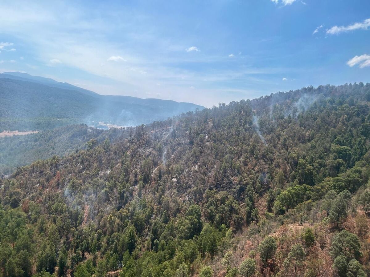 'Alberto' sofocó los incendios forestales en Michoacán. | Especial
