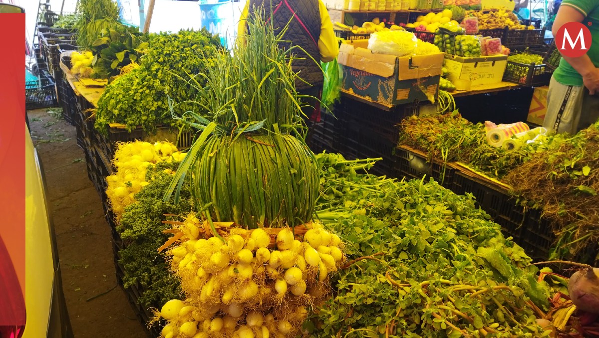 En central de abastos de Toluca reportan alza del precio del cilantro. Foto: (Alondra Ávila)