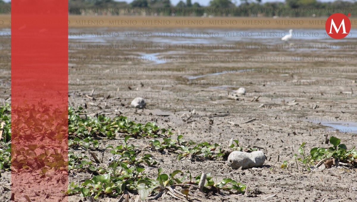 Sequía se mitigará un 35 por ciento en el sur de Tamaulipas