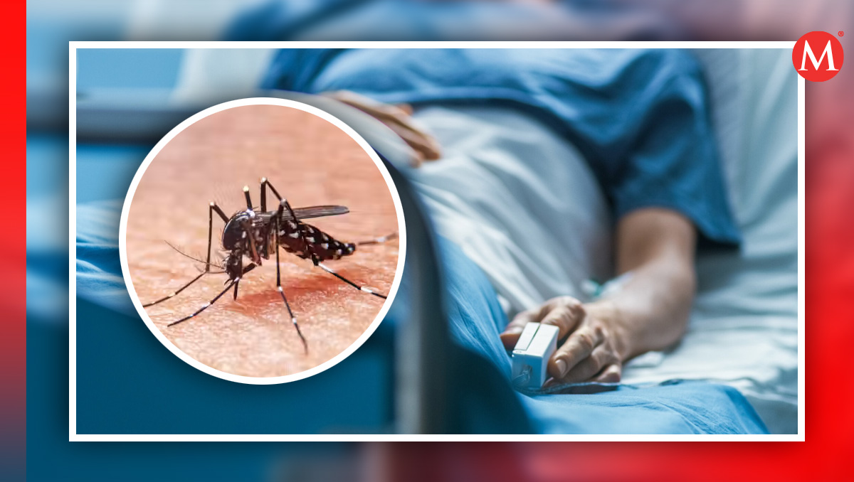 Aumento alarmante de dengue y muertes en México; Oaxaca activa plan emergente