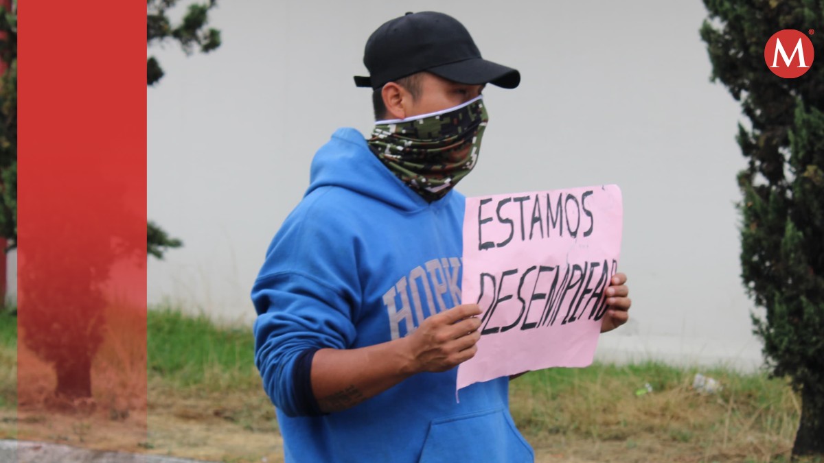 Cortadores de aguacate exigen a la autoridades que solucionen bloqueo impuesto por EU | Especial