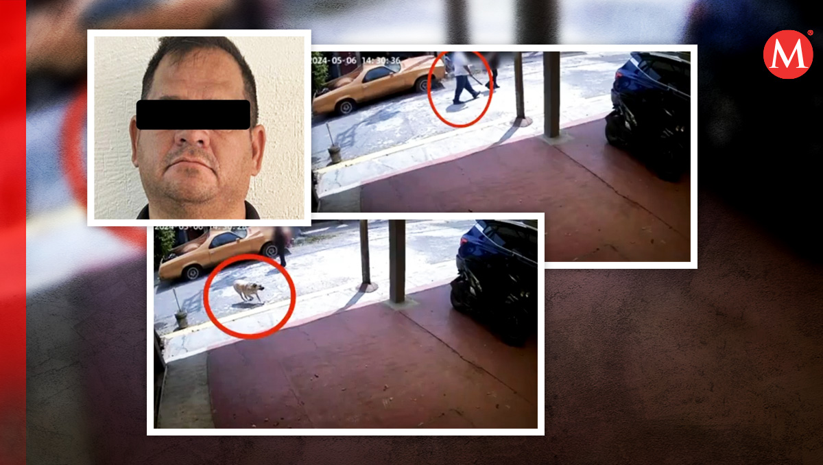 Juan José "N" enfrentará cargos por maltrato animal. (Diseño: Milenio)