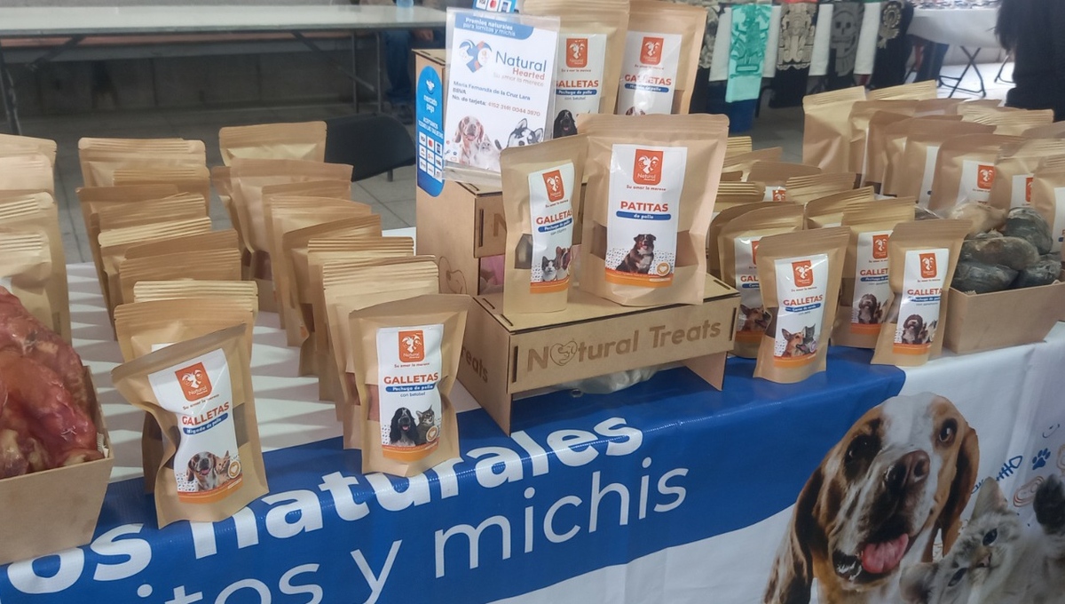 Alimentos naturales para perros. (Alejandro Evaristo(