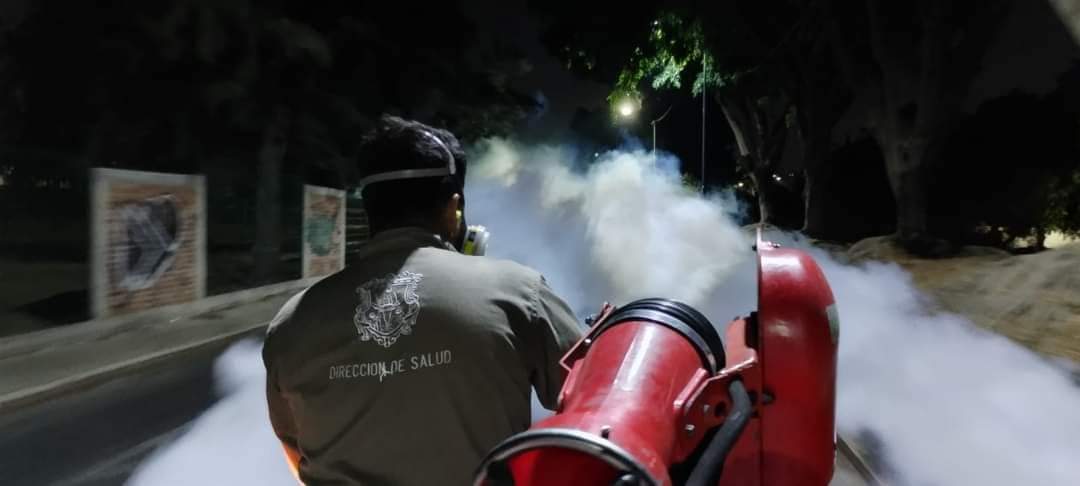 La Secretaria de Salud reporto casos de dengue en Michoacán / Especial