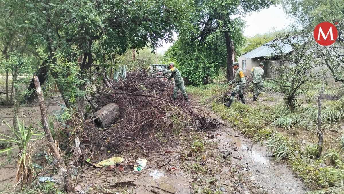 Sedena apoya en Tamaulipas tras las lluvias