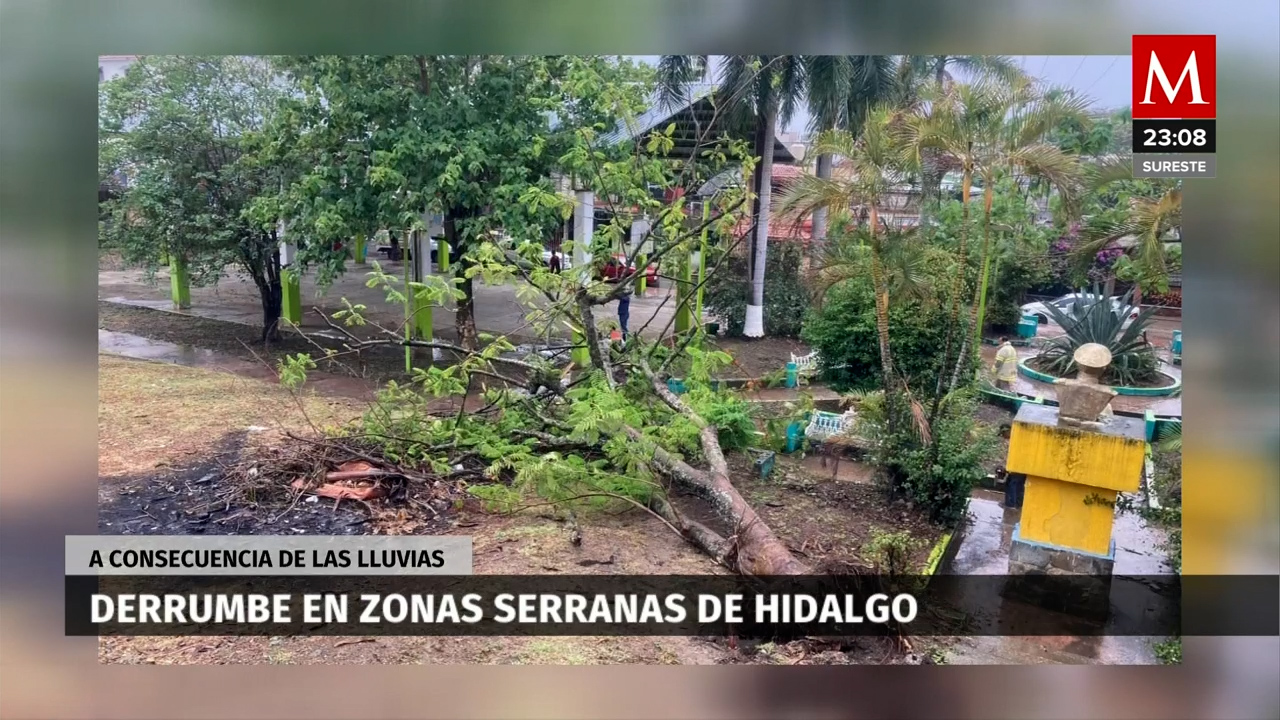 Derrumbes y caída de árboles afectan a Hidalgo tras fuertes lluvias por 'Alberto'