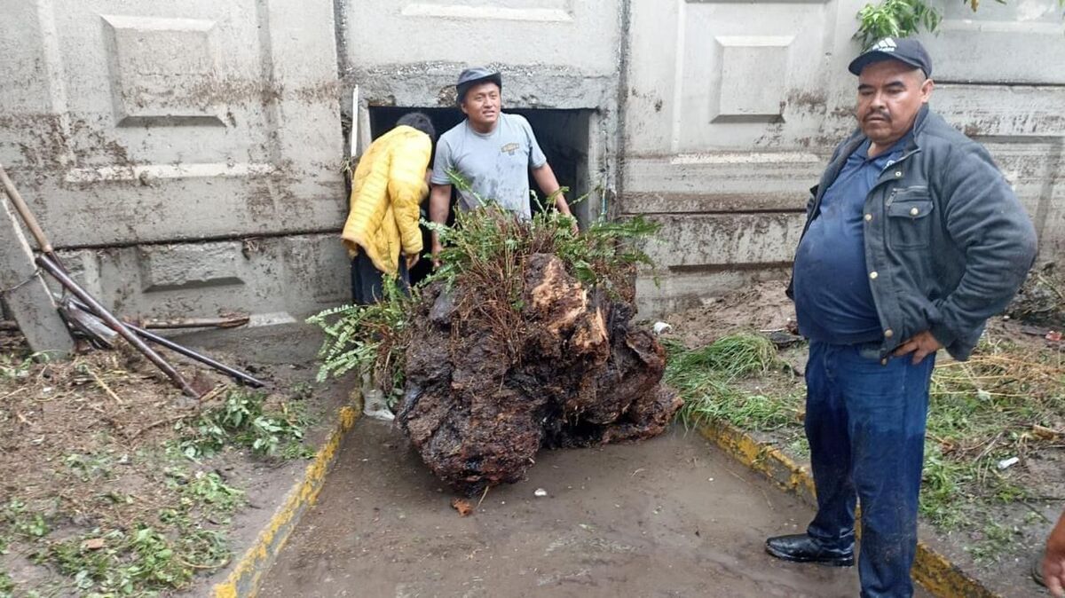 Lluvias causan daños en Estado de México.