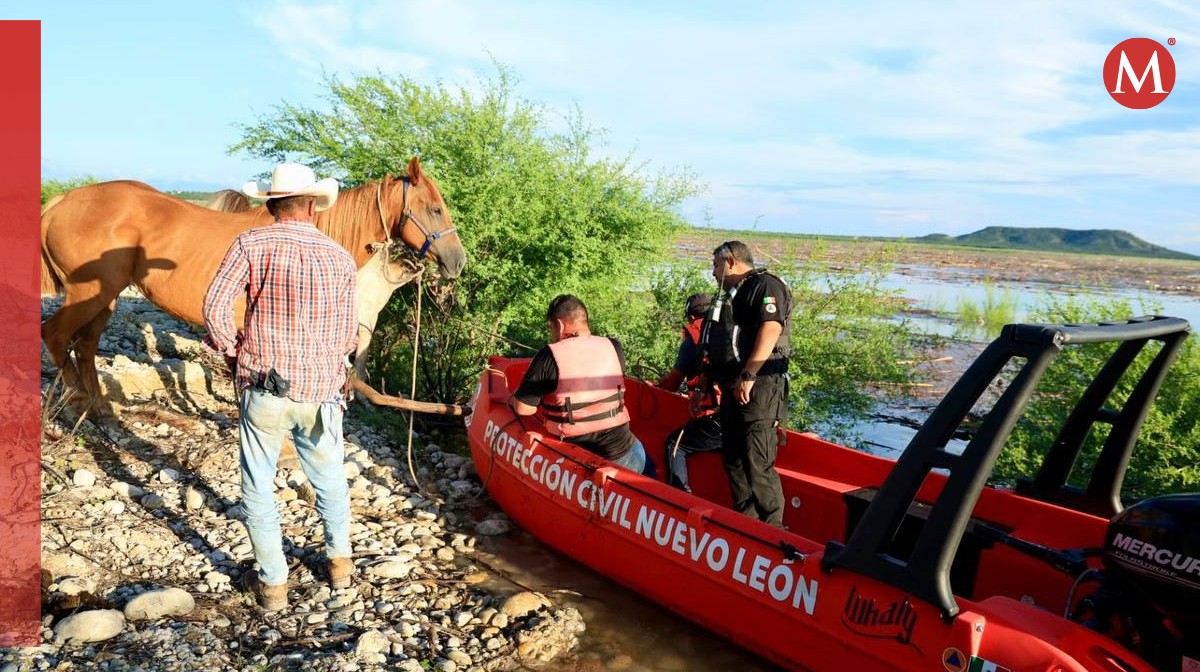 Rescate de caballos en Linares. Foto: Especial