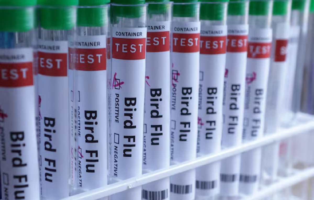 Tubos de ensayo con pruebas de gripe aviar (Reuters)