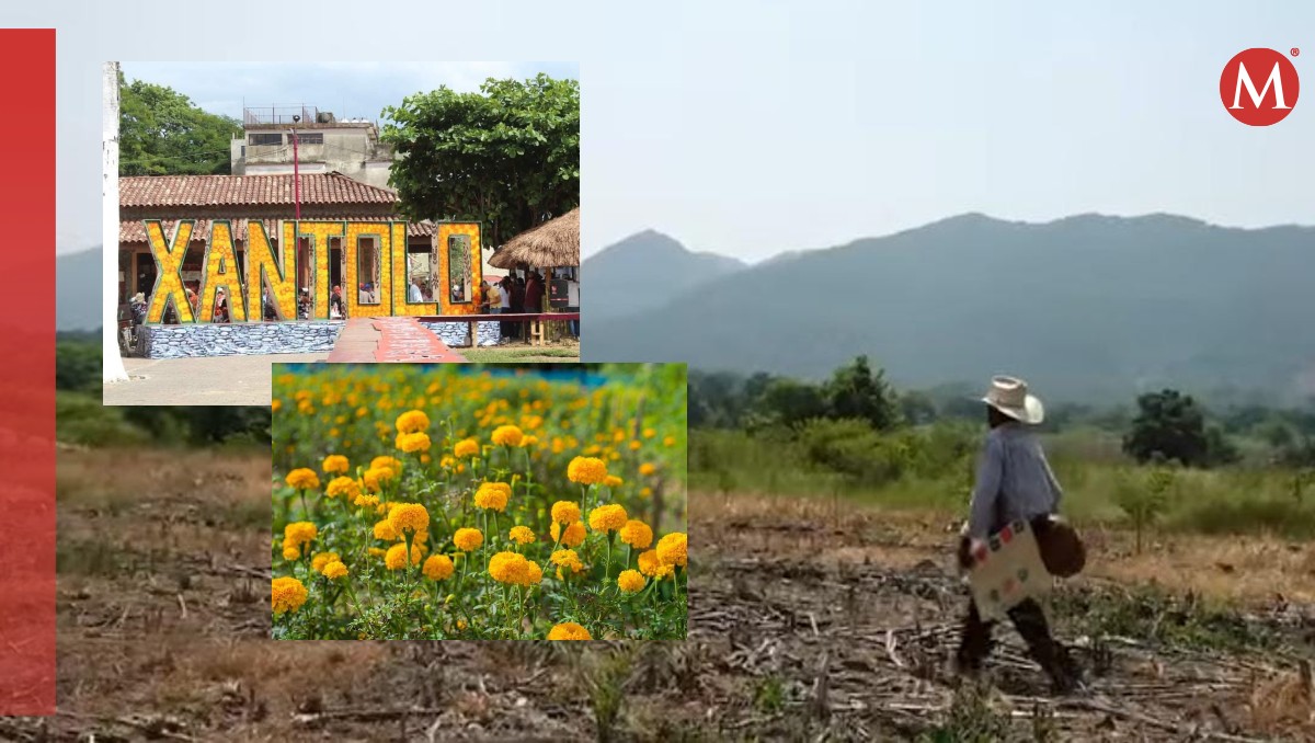Vísperas de Xantolo en Huejutla. (Wendy Salazar)