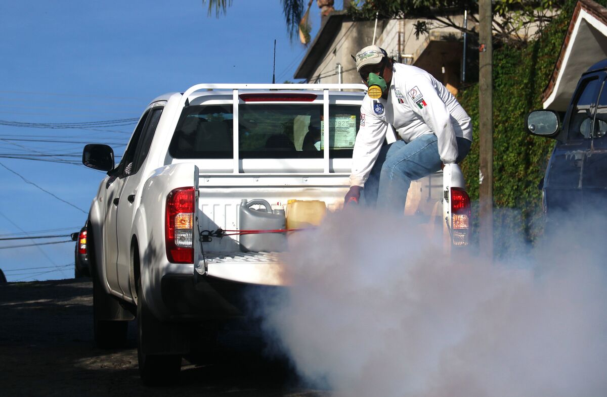 Disminuyen los nuevos casos de dengue en Guerrero gracias a medidas preventivas | Cuartoscuro