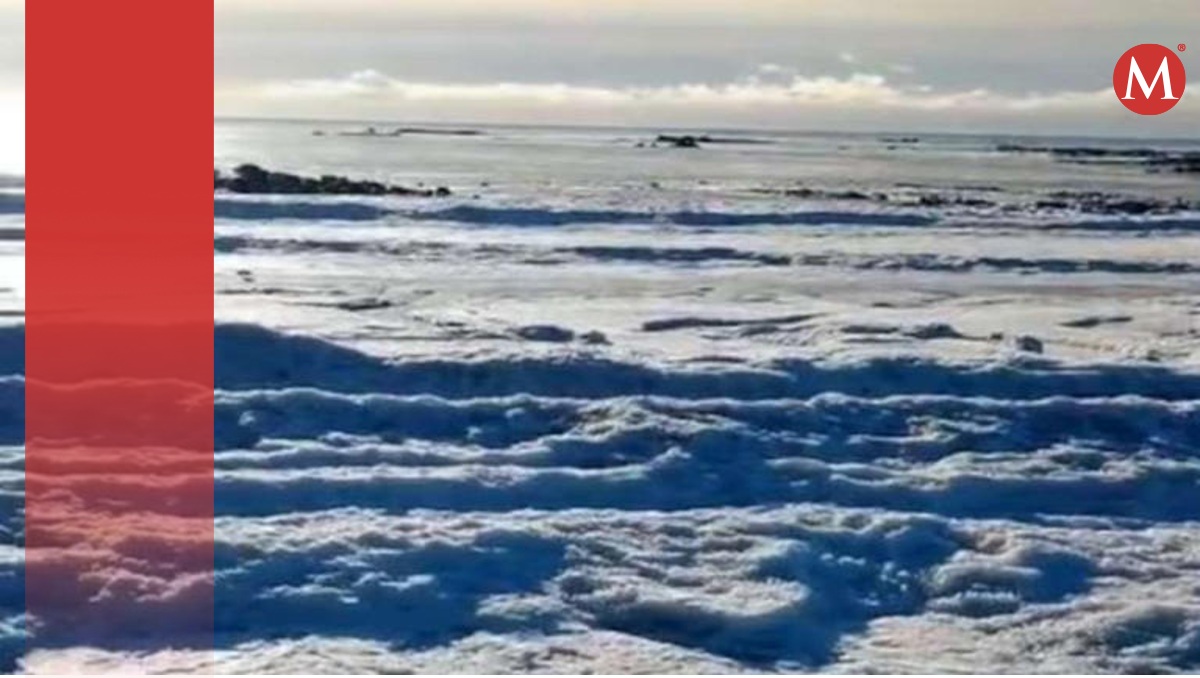 Olas en la Tierra de Fuego se congelan generando un impresionante paisaje | ESPECIAL