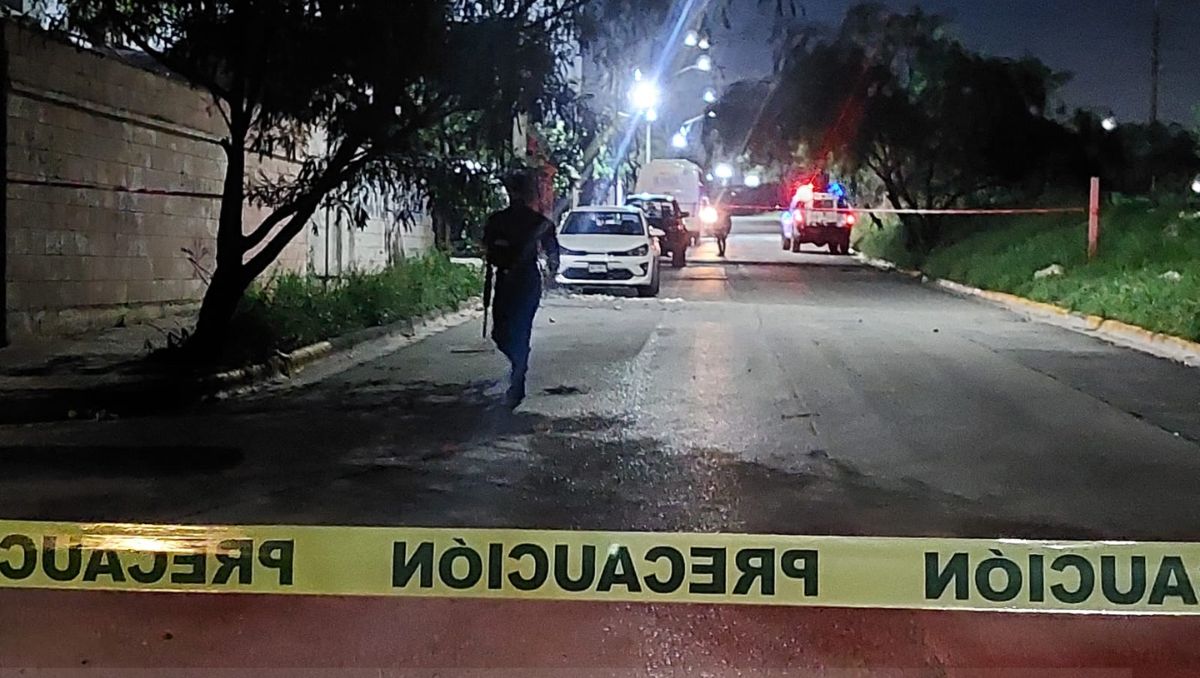 En el año 2024 todos los meses han sido los más violentos | Leyda Estrada