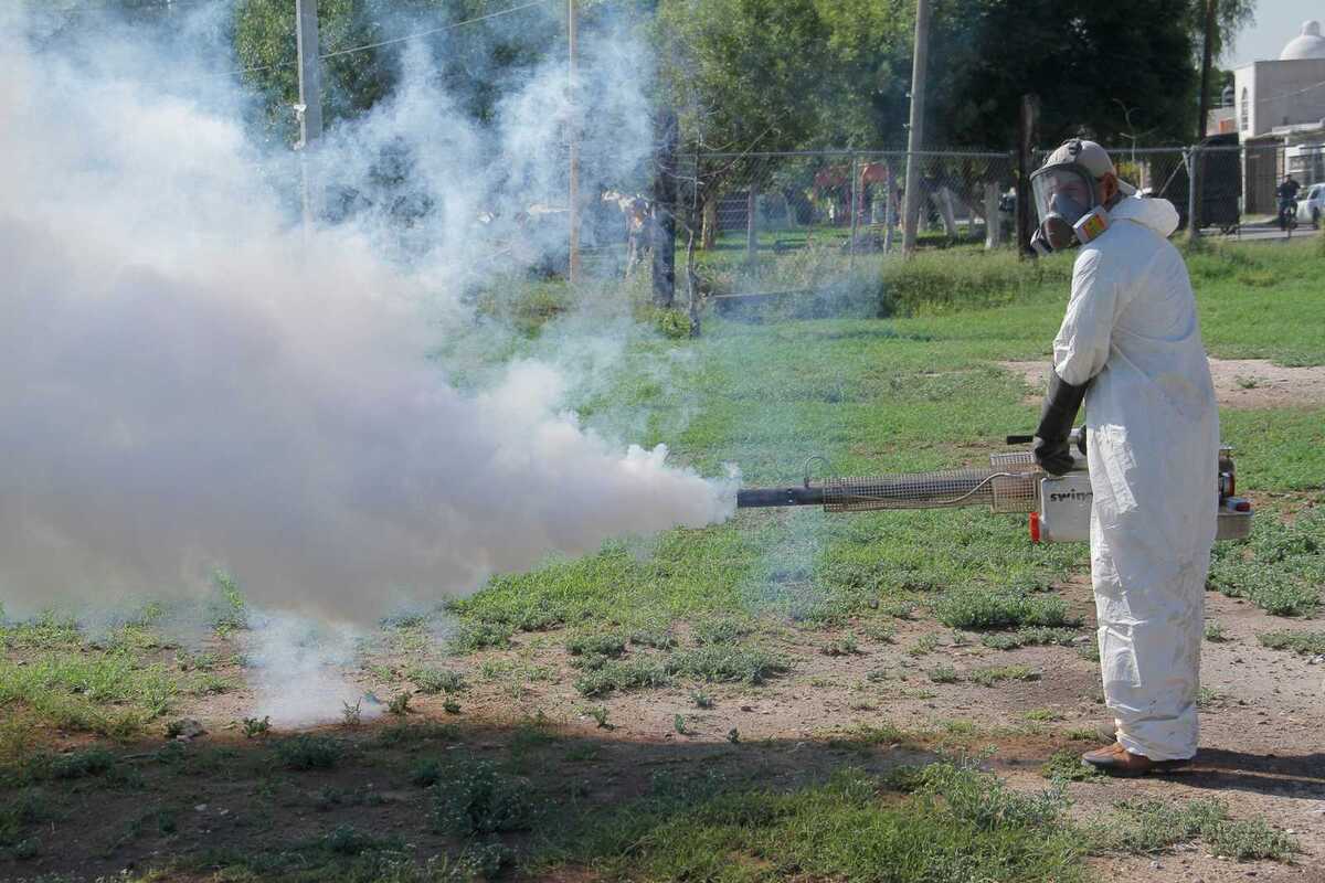 Para el entomólogo es probable que ante el incremento de la población de plagas se requieran  aumentar las fumigaciones. | Archivo