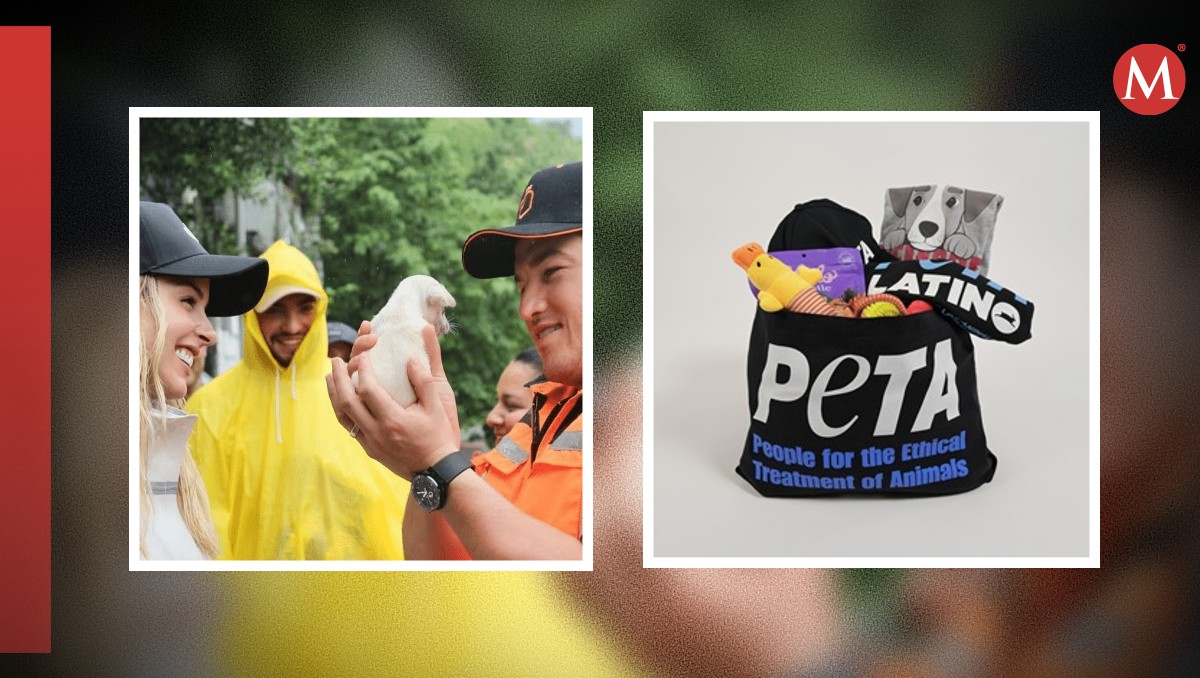 PETA Latino envía regalo a Samuel García y Mariana Rodríguez tras adoptar un perrito | Especial