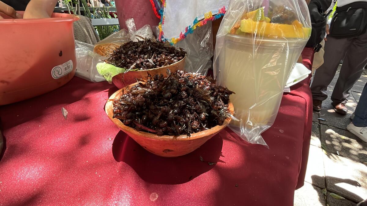 Realizan sexta feria del Nucú, platillo exótico Chiapaneco