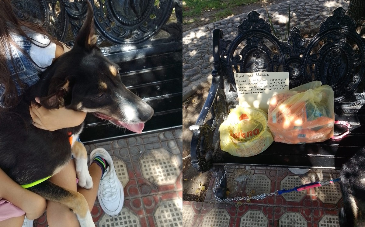 El abandono de la perrita fue publicado en redes sociales. l Especial