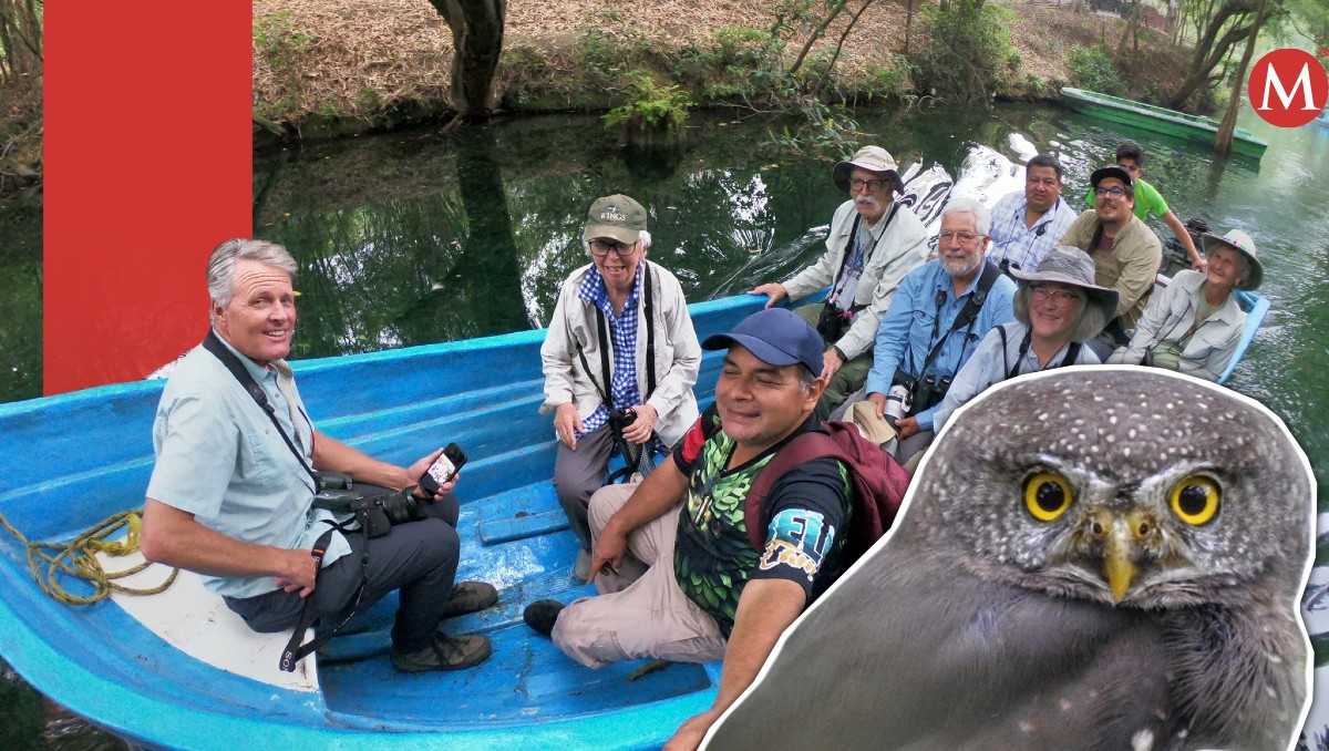 Observación de aves en Tamaulipas. (Especial)