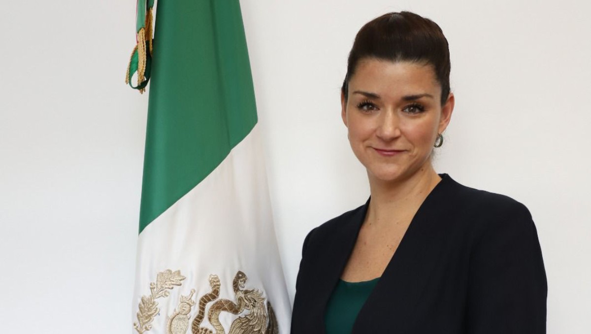 Elisa de Anda Madrazo, presidenta del GAFI. Foto: (Especial)