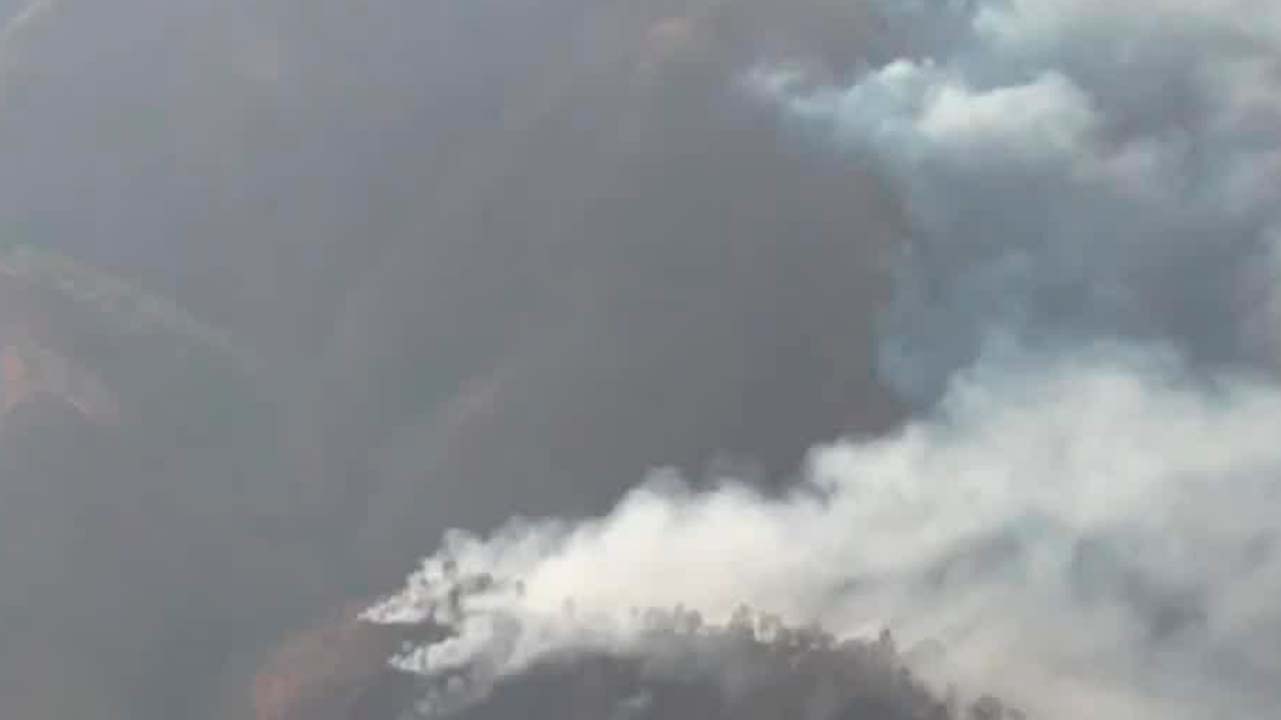 2024 es el segundo año con más incendios forestales en el país | Milenio Hábitat