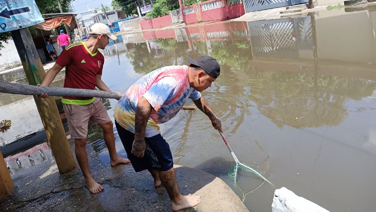 Habitantes intentan capturar cocodrilos en Ciudad Madero. (Pablo Reyes)