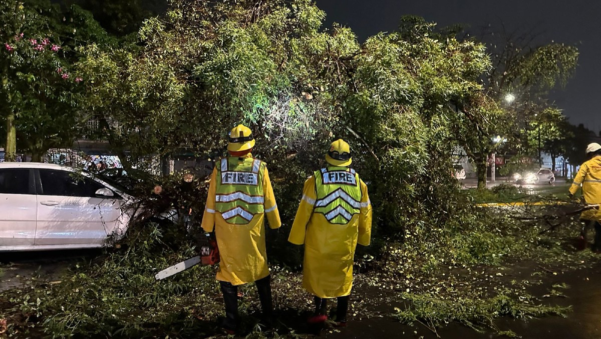 Bomberos trabajaron en liberar las calles y quitar los árboles caídos (Cortesía)