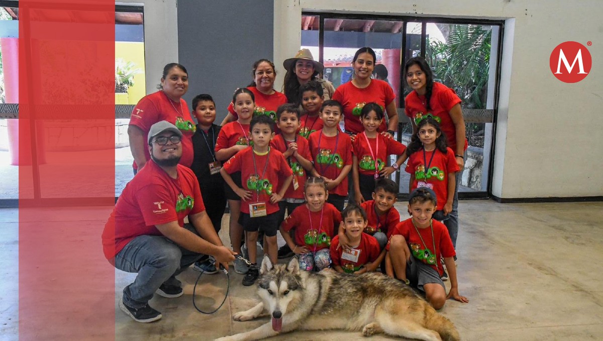 Cursos de verano en Tamaulipas, cuándo y cómo participar