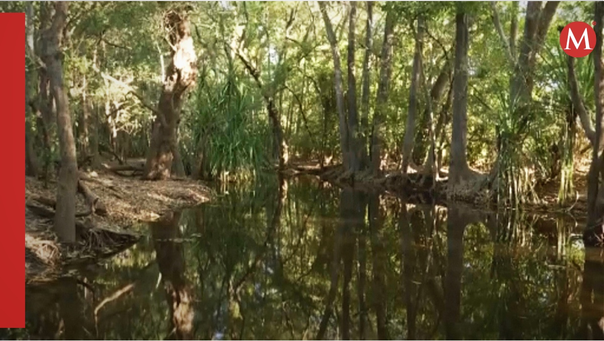Esta imagen tomada de un video proporcionado por AuBC muestra parte de una zona en Palumpa, Australia, el jueves 4 de julio de 2024 | AP