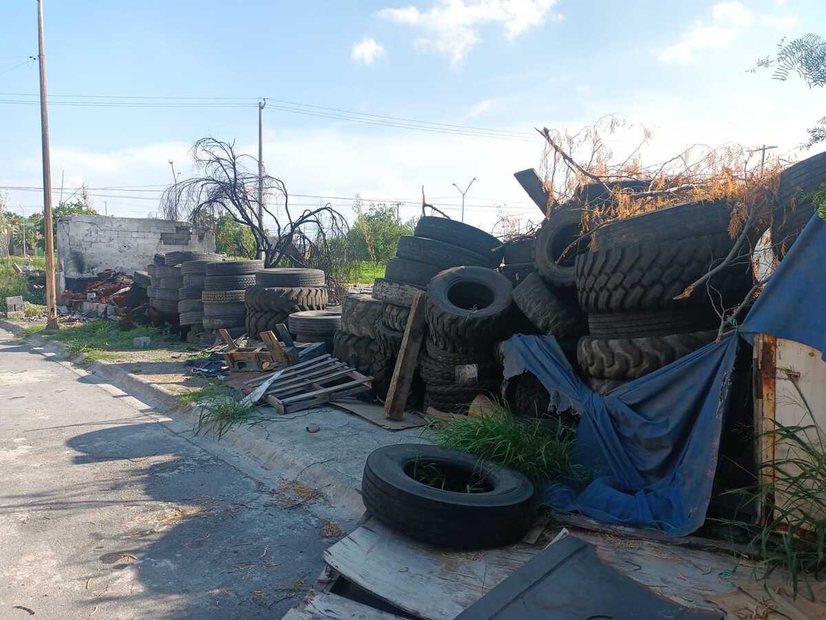 Temen propagación de dengue en terreno baldío en Apodaca. Foto: Israel Santacruz