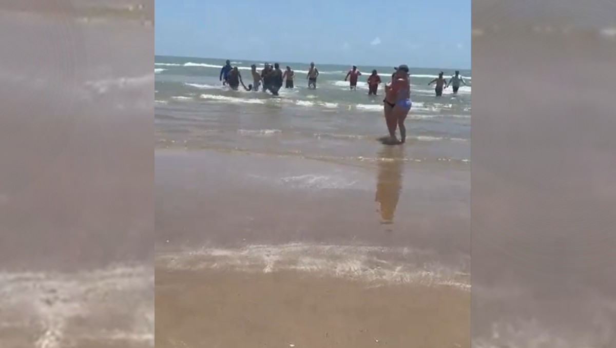 Tiburón ataca a dos personas en la Isla del Padre, Texas. Foto: Especial