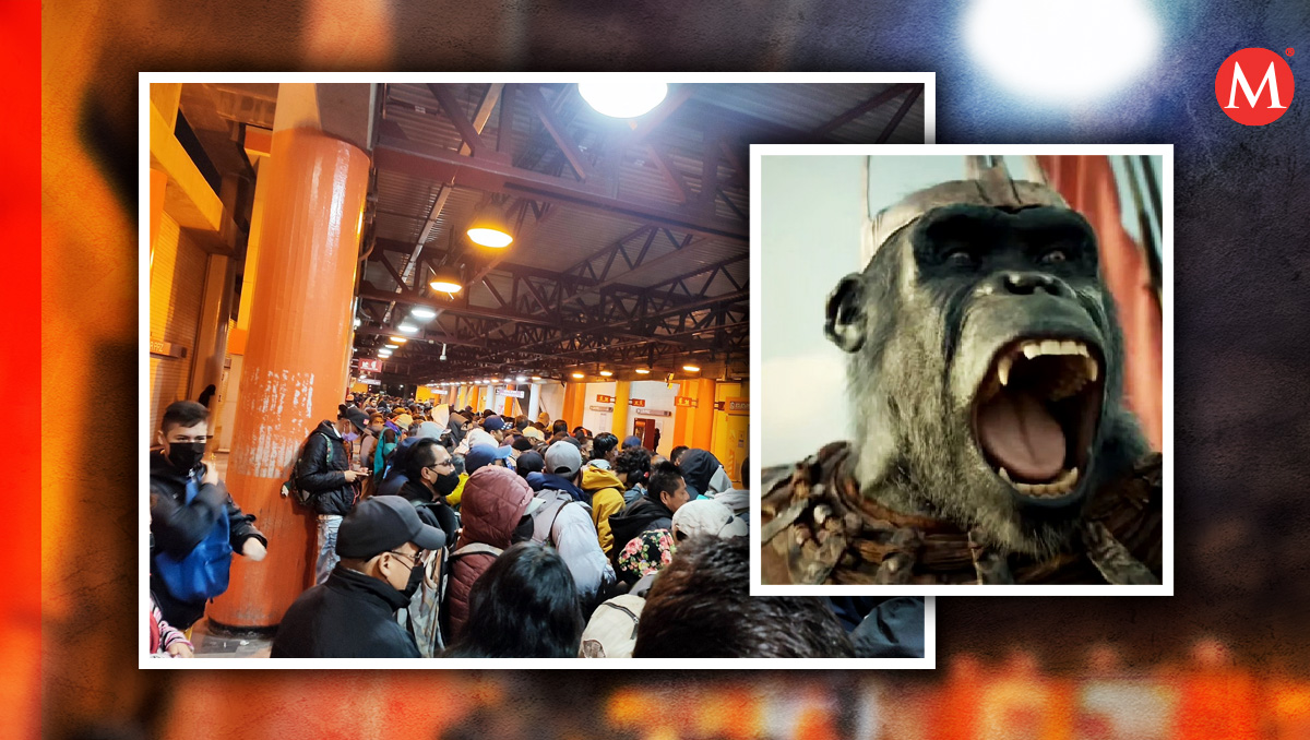Usuarios bromean con que es el "llamado" al libre cierre de puertas. | Especial