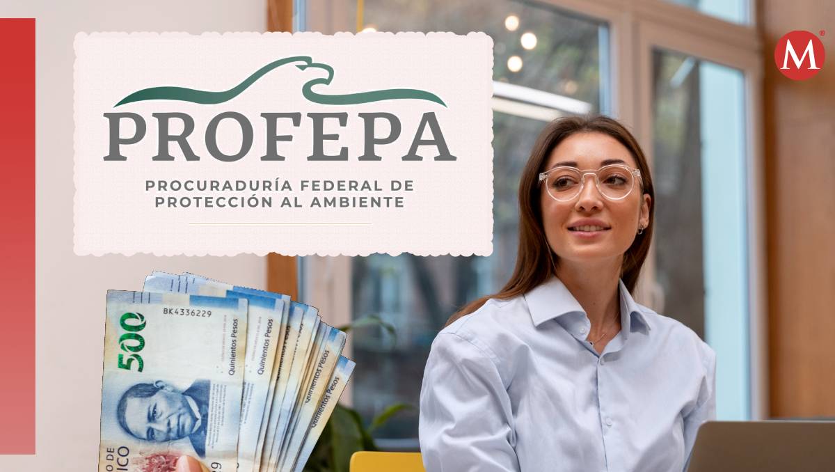 En julio, Profepa tiene una convocatoria para una vacante que ofrece más de 63 mil pesos mensuales | Wendy González