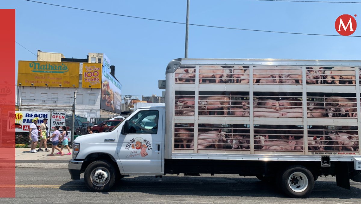 PETA intentó boicotear concurso de 'hot dogs' | Especial