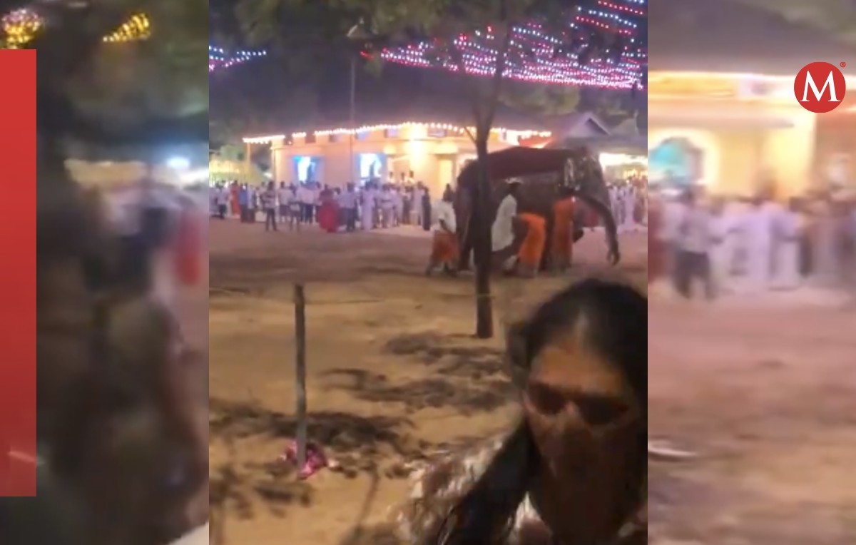 Los elefantes son seres sagrados en Sri Lanka (Redes sociales)