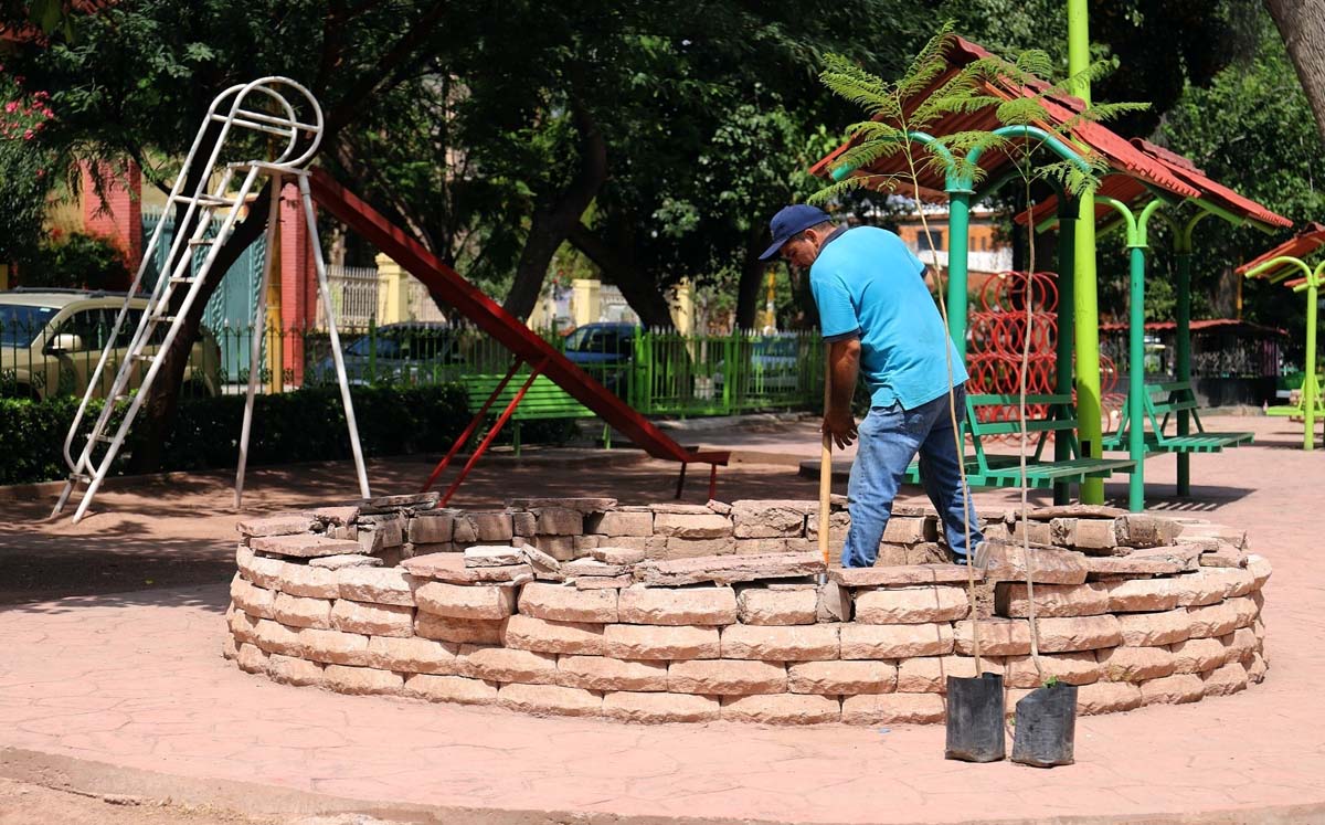 Además se buscará reforestar áres en Lerdo. l Rolando Riestra