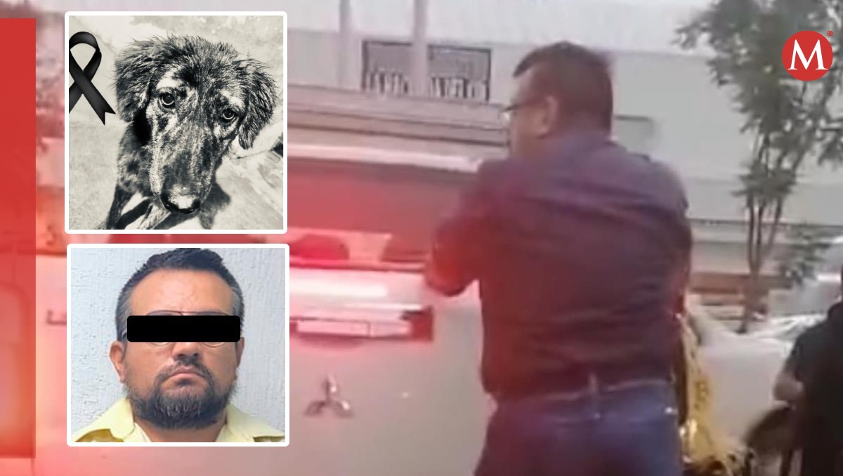 El hombre fue captado en video mientras se desasía de los cuerpos de los perros. Foto: (Especial)