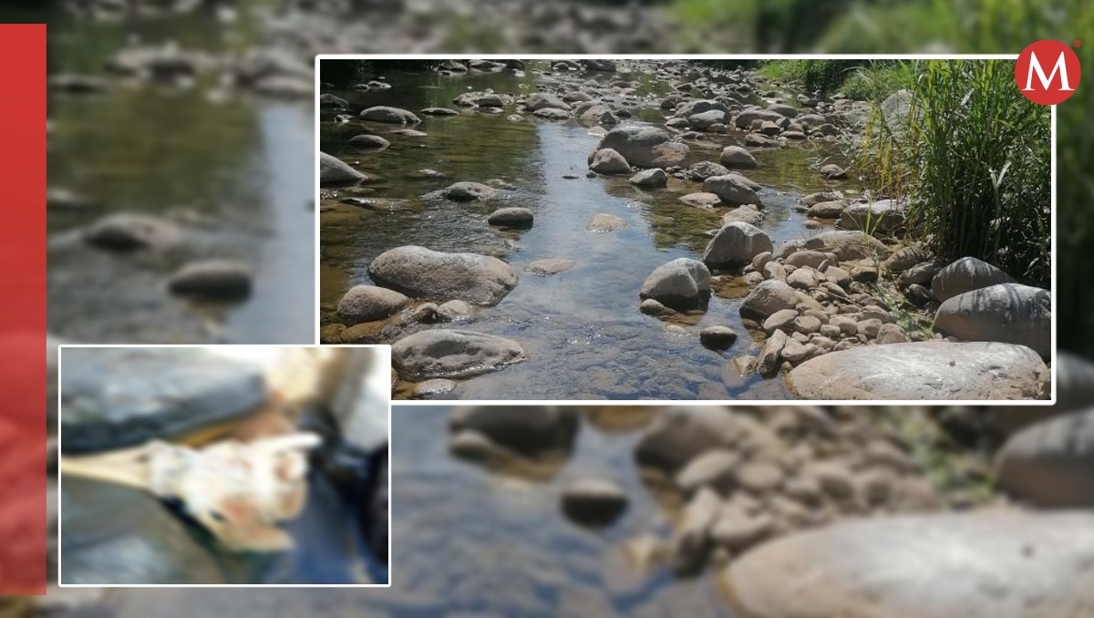 Río de Tehuetlán, lugar donde descubrieron restos humanos